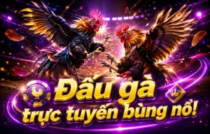 Giao diện Đá Gà mobile tại v360properties